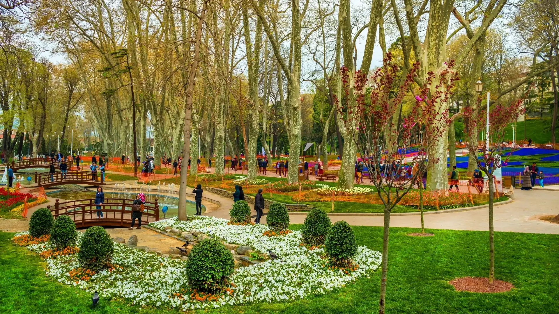 İstanbul Üniversitesi Rıdvan Çelikel Arkeoloji Müzesi